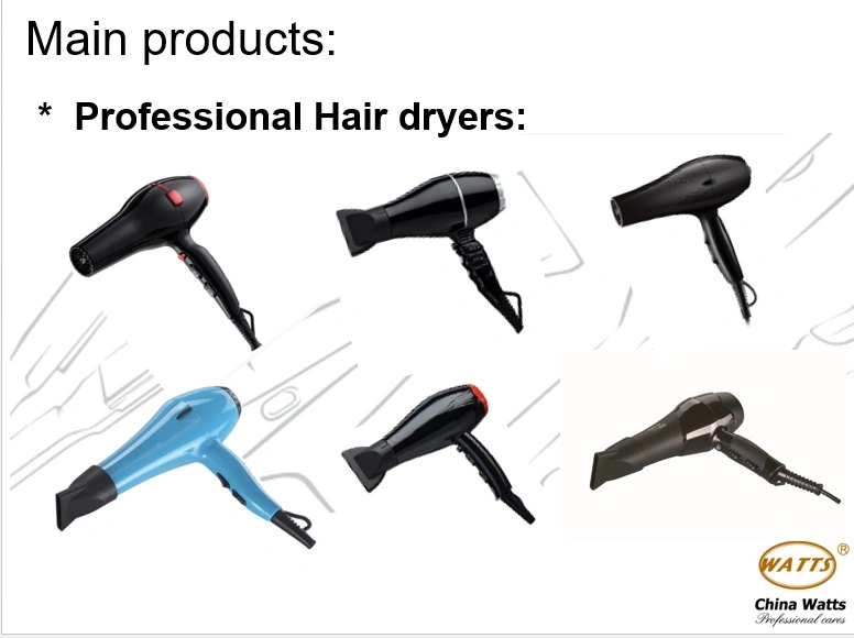 2000W - 2200W Professional Electric Hair Dryer for Fast Drying Fast Dry Low Noise