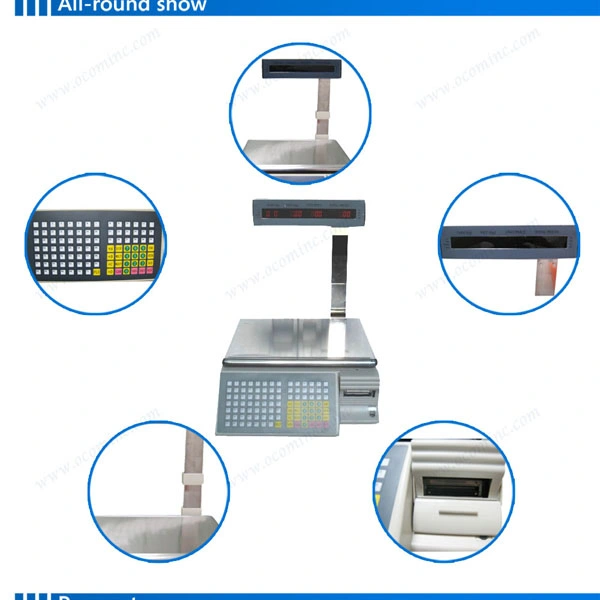 Barcode Label Printing Weighing Scale with LAN and WiFi for Supermarket Fruits