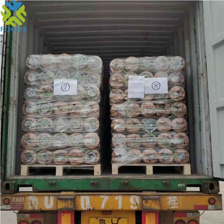 Reflective Agriculture Fruit Plastic Mulch Film Silver Metalized PE CPP Film