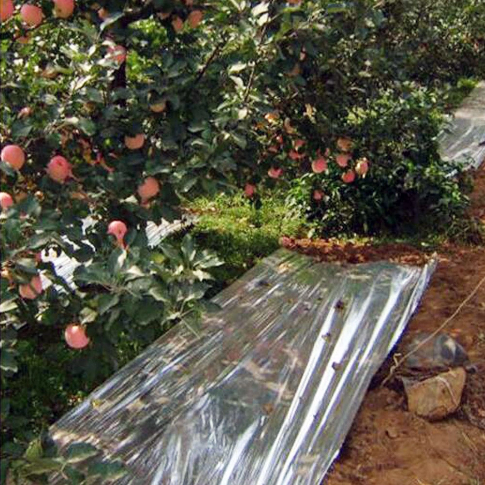Silver Coated Film Vacuum Metallized Film CPP PE Pet Fruit Trees Apple Grapes Reflective Film