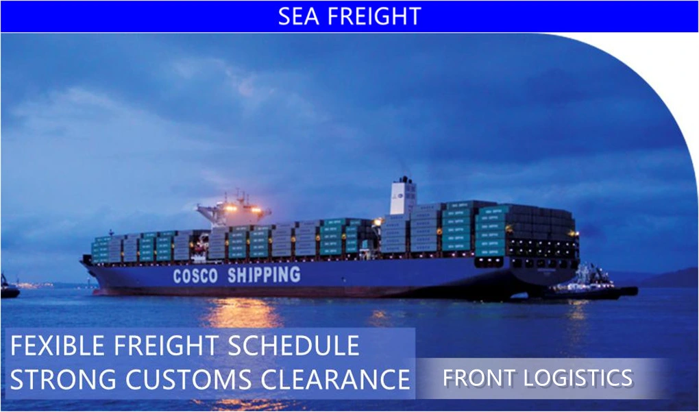 Fast Sea Freight Fresh Fruit From Myanmar to China Shenzhen Cold Chain