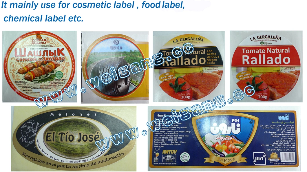 The Leading Manufacturer of Automatic Label Flexo Printing Machine with Lamination Station