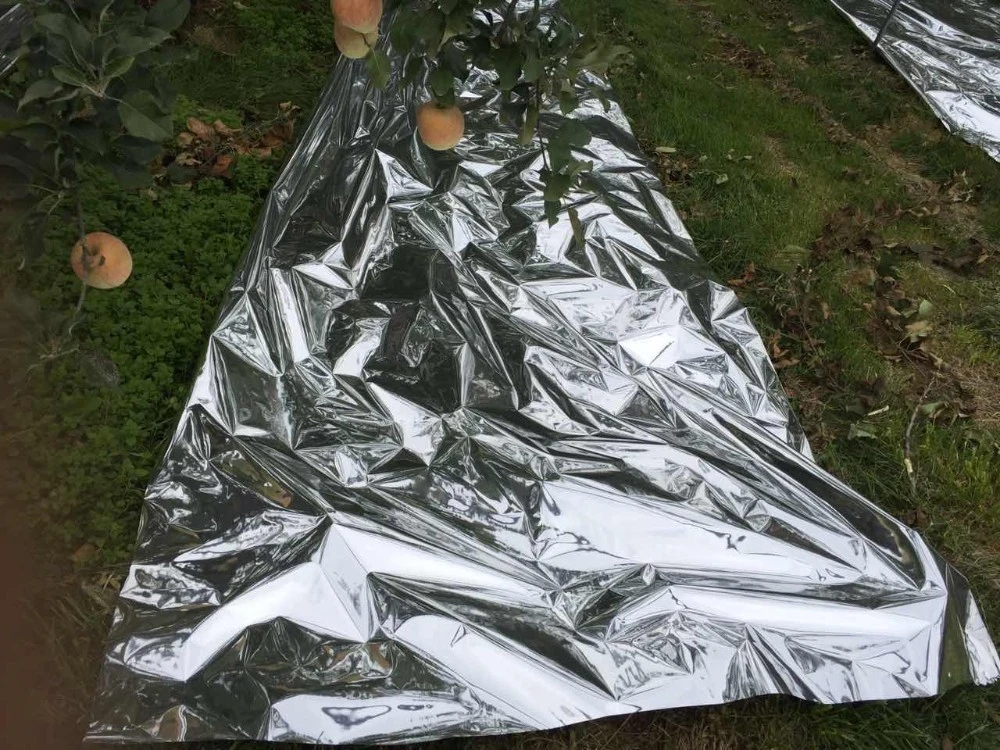 Agricultural Silver Coated Mulch Reflective Film Metallized CPP Pet PE Film for Fruit Tree