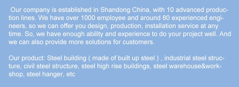 Warehouse Building Materials, Multi-Story Steel Structure Warehouse, Welded Steel Structure