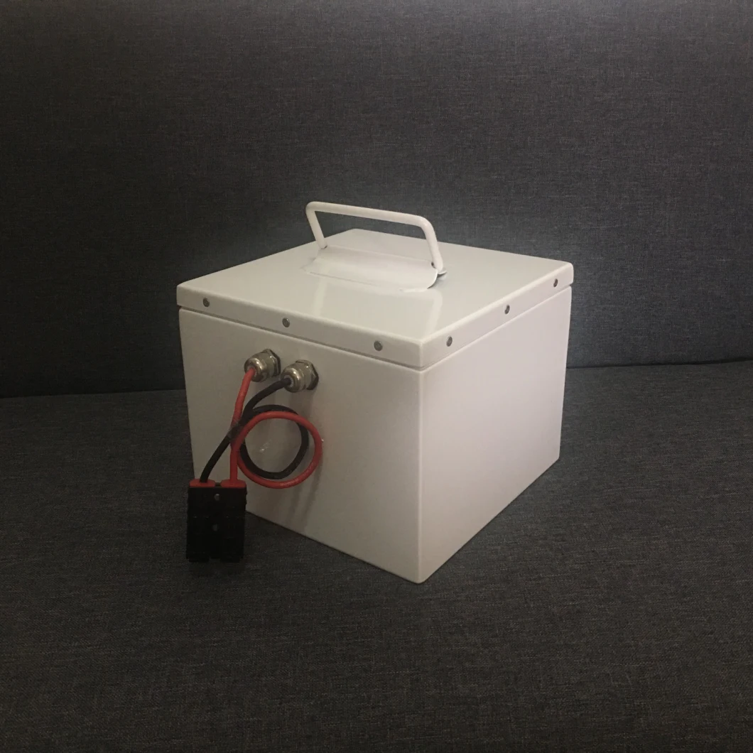 24V 30ah/40ah/100ah LiFePO4 Battery for Agv/Automated Guided Vehicle /Robot Battery