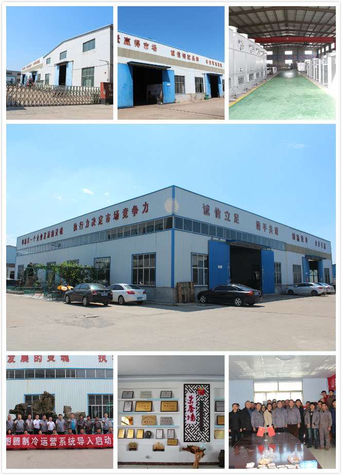 Long Service Life Cost Price Low Temperature Cold Storage Room Storage Blast Freezer Unit for Meat