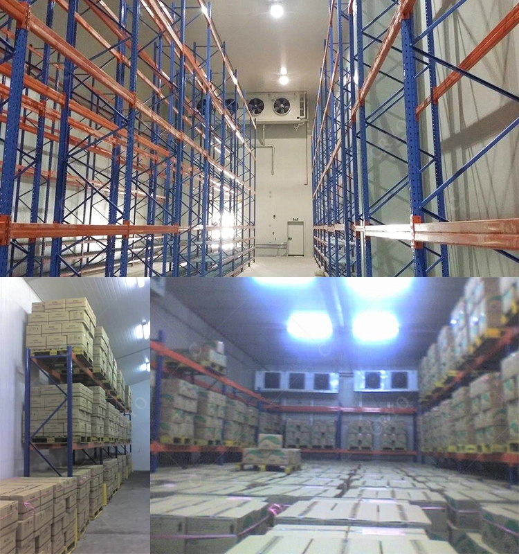 Blast Freezer for Sale Malaysia Onion Cold Storage Room Warehouse Refrigeration Unit