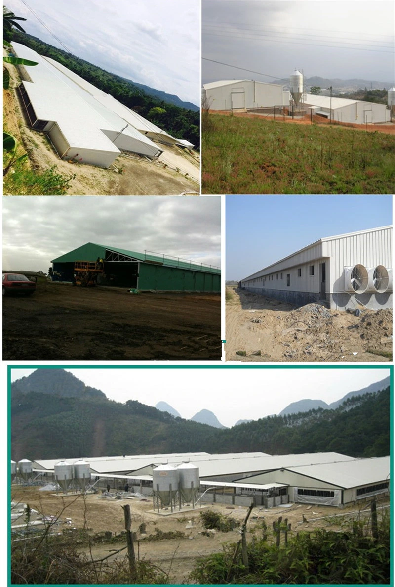 Sandwich Panel Warehouse/Moveable Container Warehouse/Mobile Warehouse
