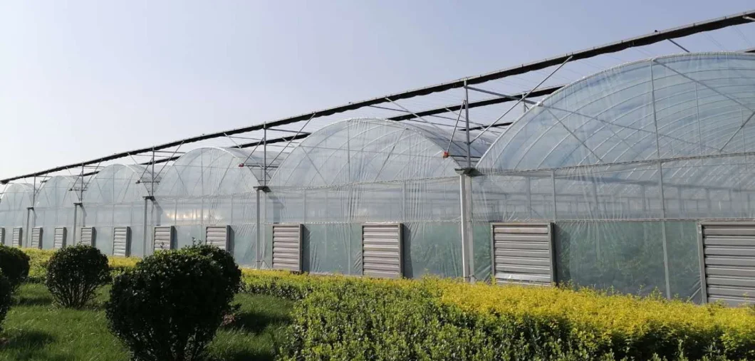 Automated Multi Span Film Greenhouse with Shading/Irrigation/Cooling System