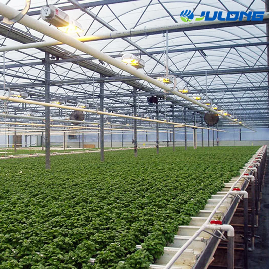 Multi Span Tunnel Po Film Plastic Cover Vegetables Green House with Shading System Hydroponics System