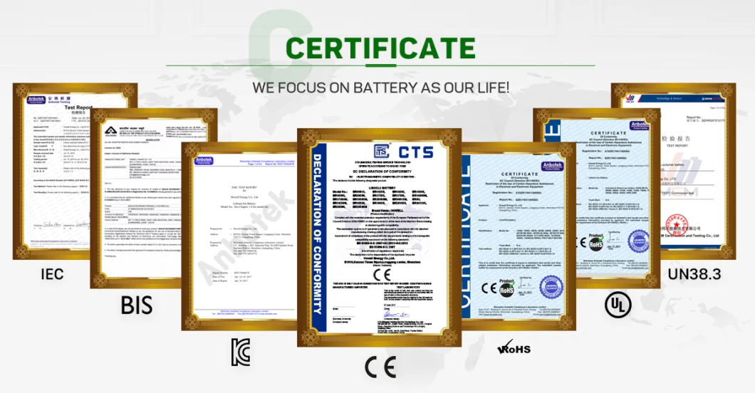 12V 12ah Deep Cycle LiFePO4 Battery for Solar/RV Storage