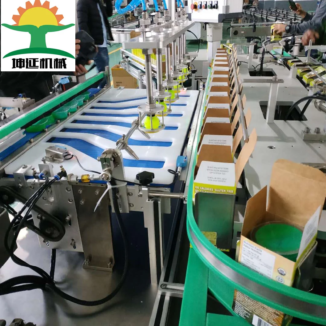 Automatic Robot Arm Carton Packing and Sealing Machine for Bottles