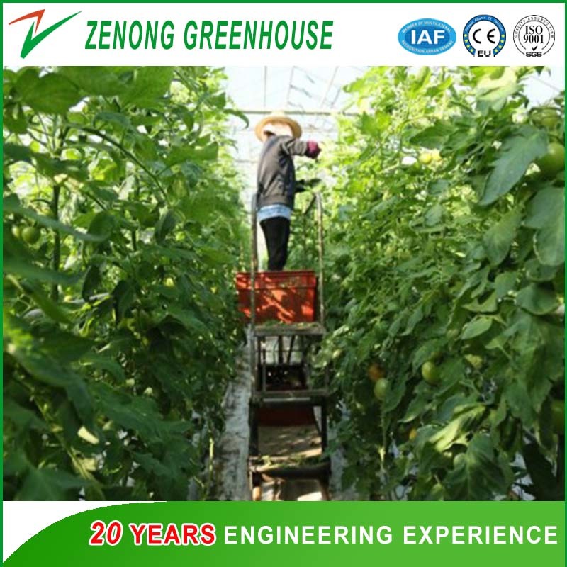 Greenhouse Picking Machine for Picking Vegetables/ Fruits/Tomato/Cucumber
