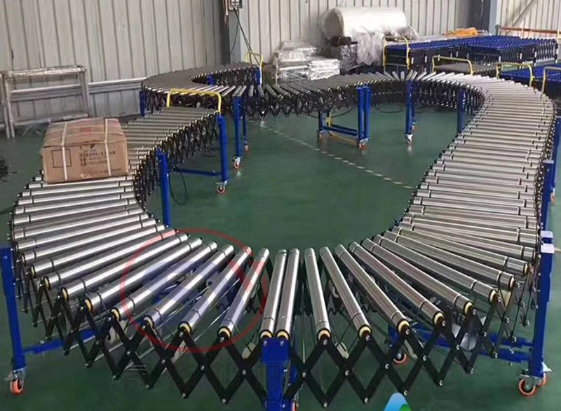 Flexible Double Roller Conveyor Machine Material Handling Equipment with Chip Price