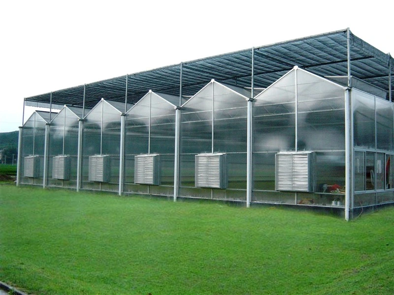 Tomato/Lettuce Hydroponics Growing System Multi Span Polycarbonate Sheet Greenhouse with Shading System for Agriculture