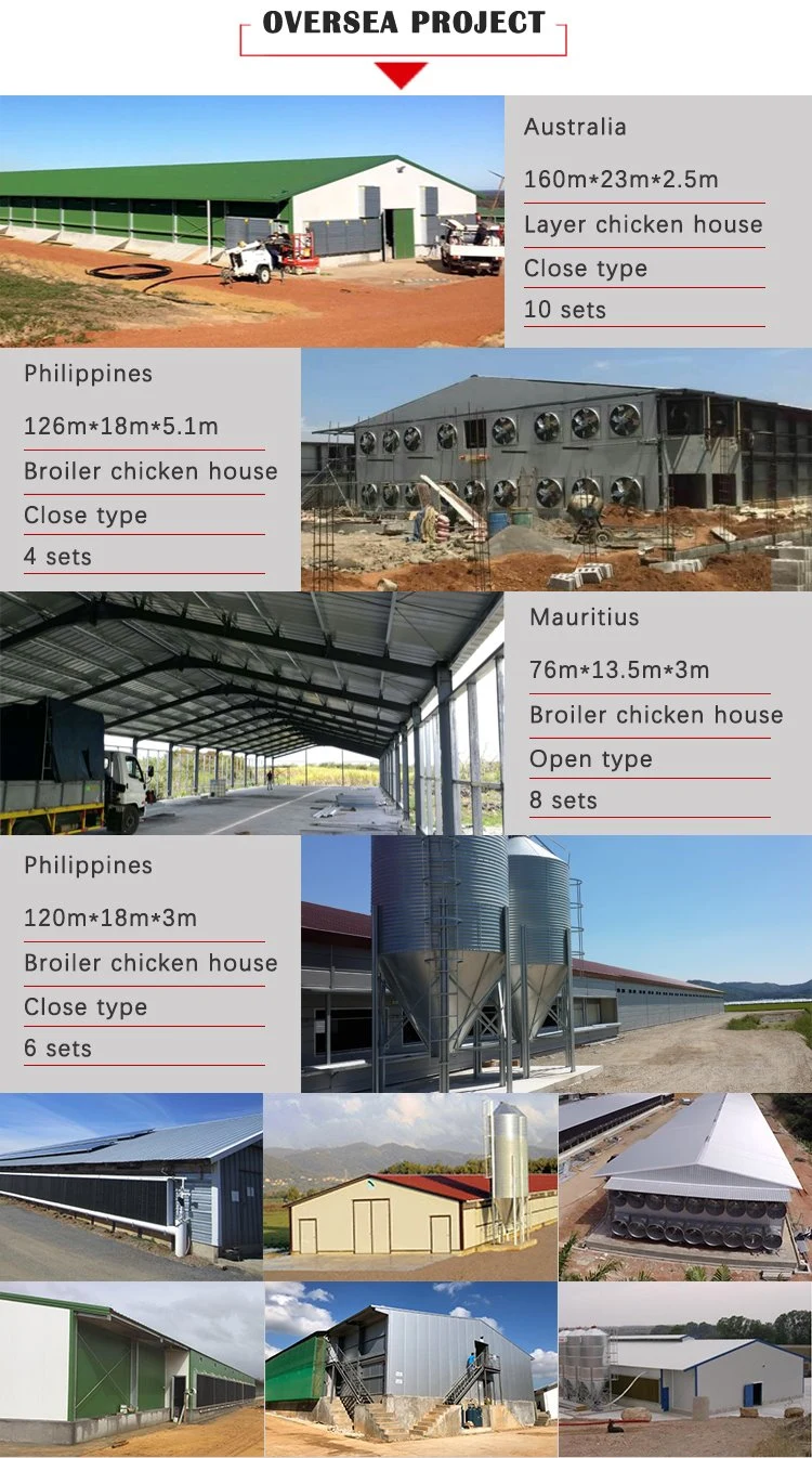 Prefab Light Steel Structure Building Automated Layer Chicken Warehouse Farm