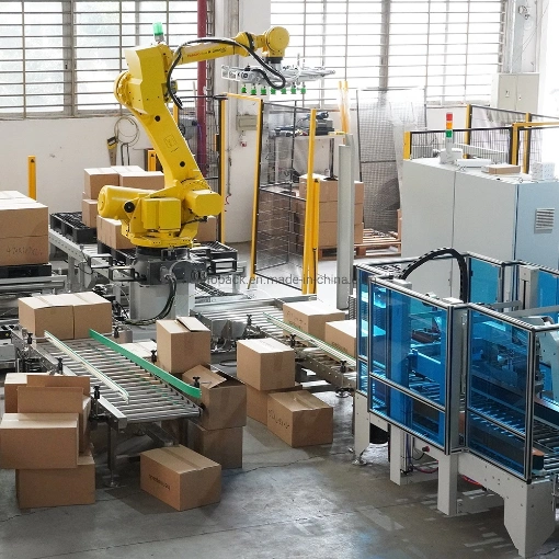 Hennopack Carton Box Robotic Palletizer Packaging Machine for with Fanuc Robot Body System