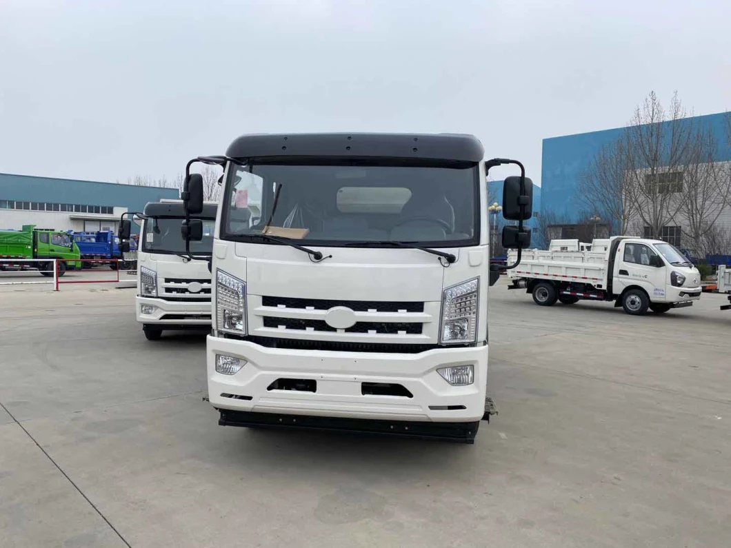 China Light Duty /Heavy Duty Truck Dump Truck for Sale