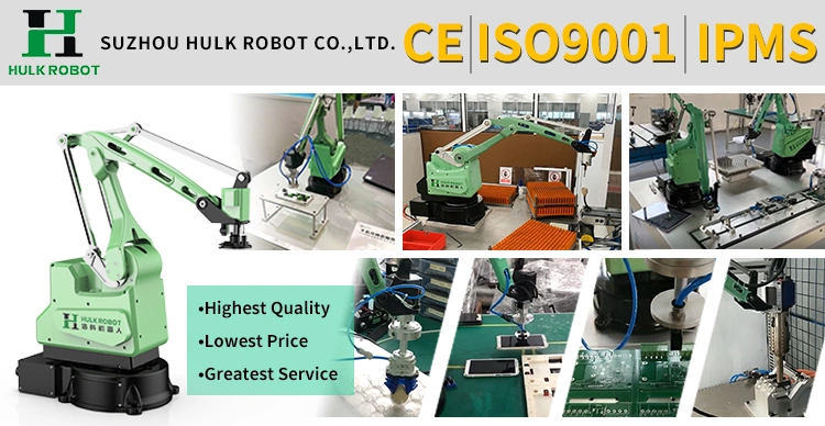 Industry Automatic 4 Axis Industrial Robot Armpicking Lifting and Placing Hulk Robot