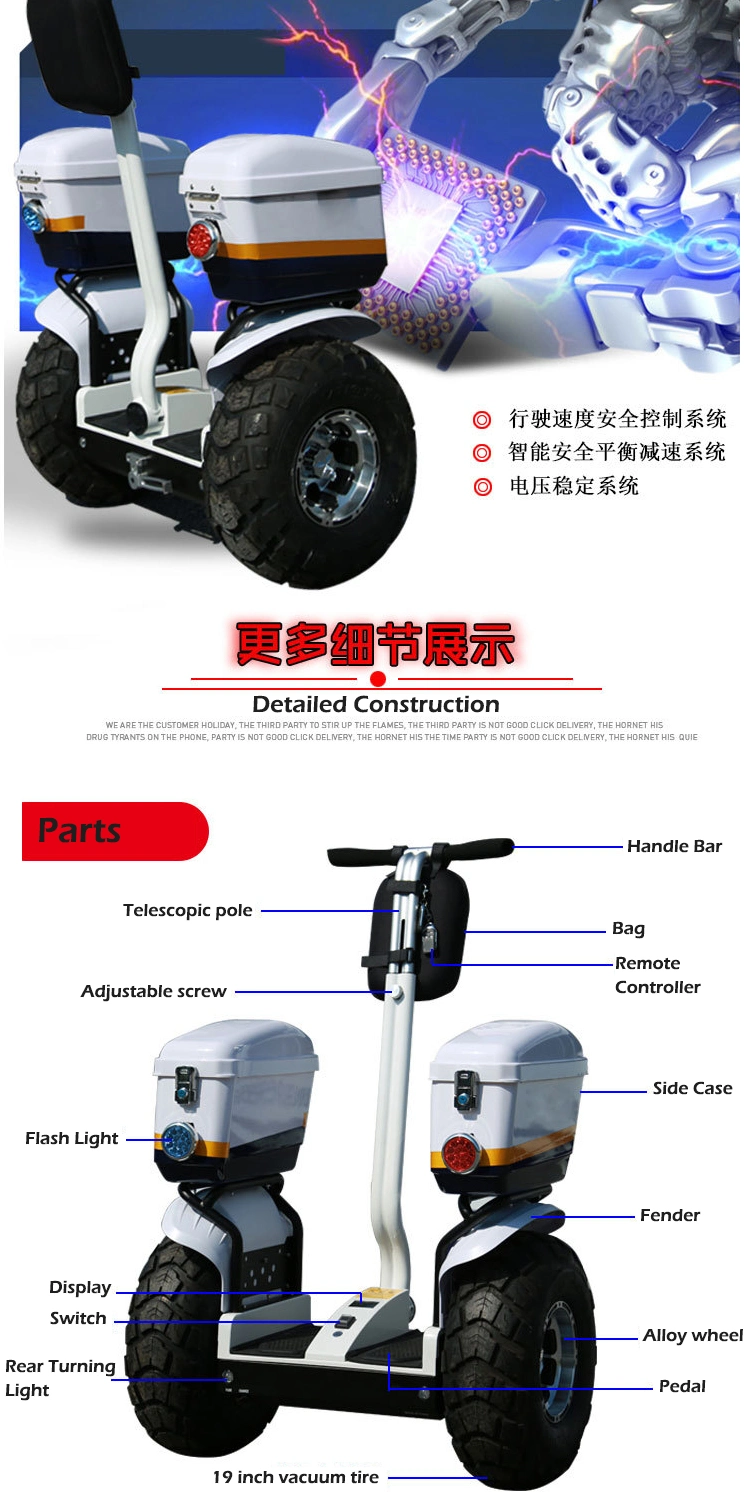 off Road Electric Chariot Balance Scooter off-Road Cart with Handle Bar Electric Patrol Scooter