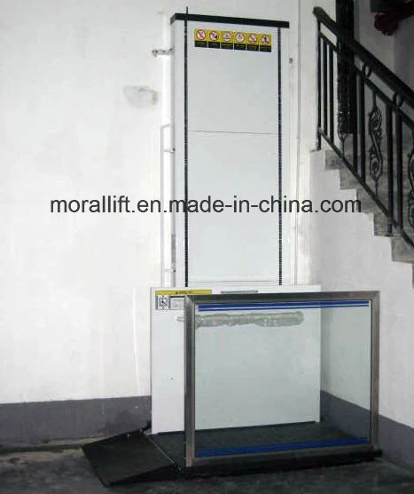 Hydraulic Wheelchair Platform Lifting Home with CE