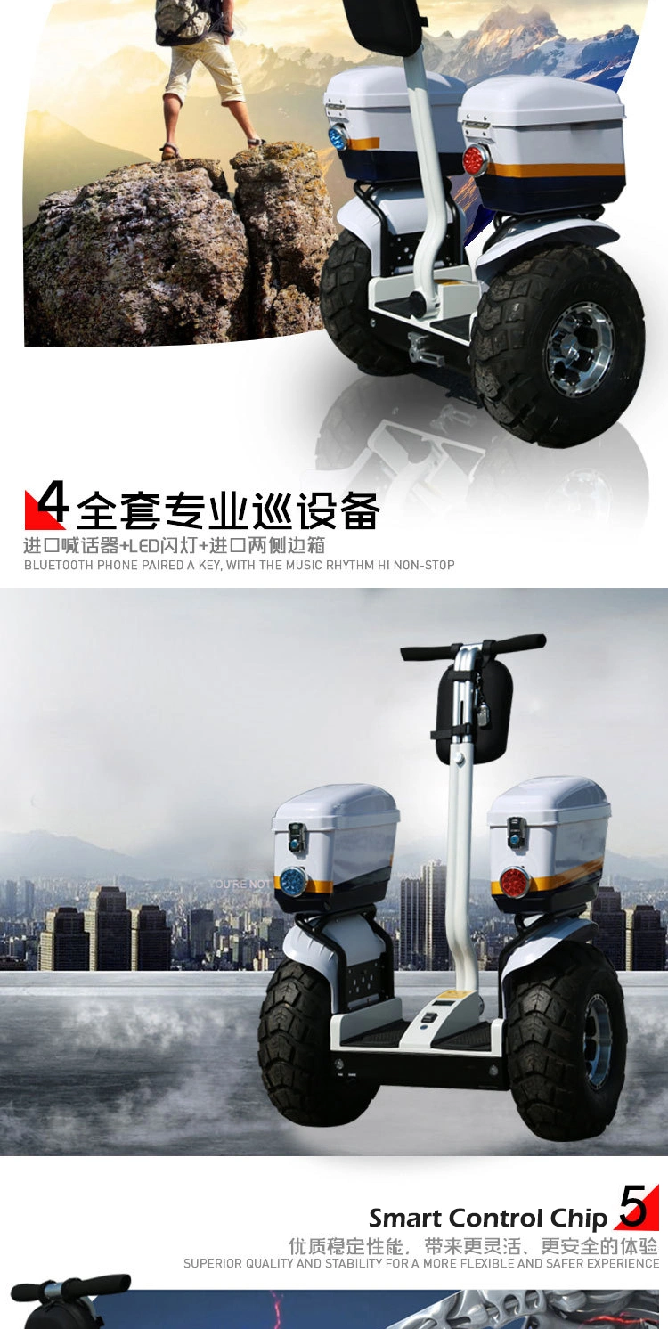 off Road Electric Chariot Balance Scooter off-Road Cart with Handle Bar Electric Patrol Scooter