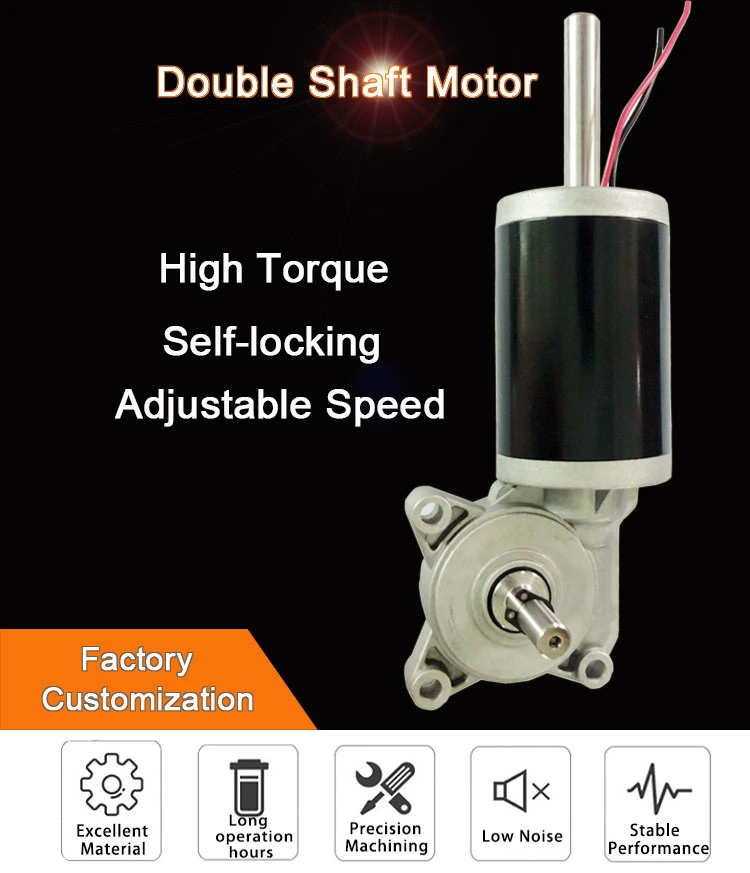 DC Motors Double Shaft 24V Electric Winch Motor Manufacturer