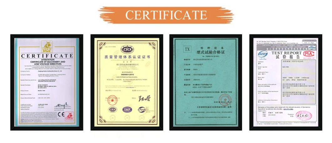 Fast Lifting Speed Crane Lifting Electric Winch Cable Wire Rope Hoist Multiple Certificate Approval