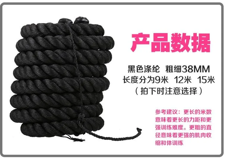 High Grade Material 12 Strand Towing Winch Mooring UHMWPE/Hmpe/Polyester/Nylon/PP/Polypropylene/Mixed Rope