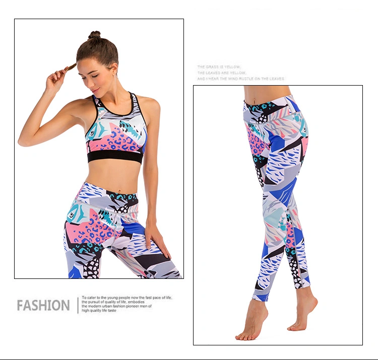 Cody Lundin Apparel Women's Fitness Yoga Wear Seamless Activewear Sets Sports Gym Suit