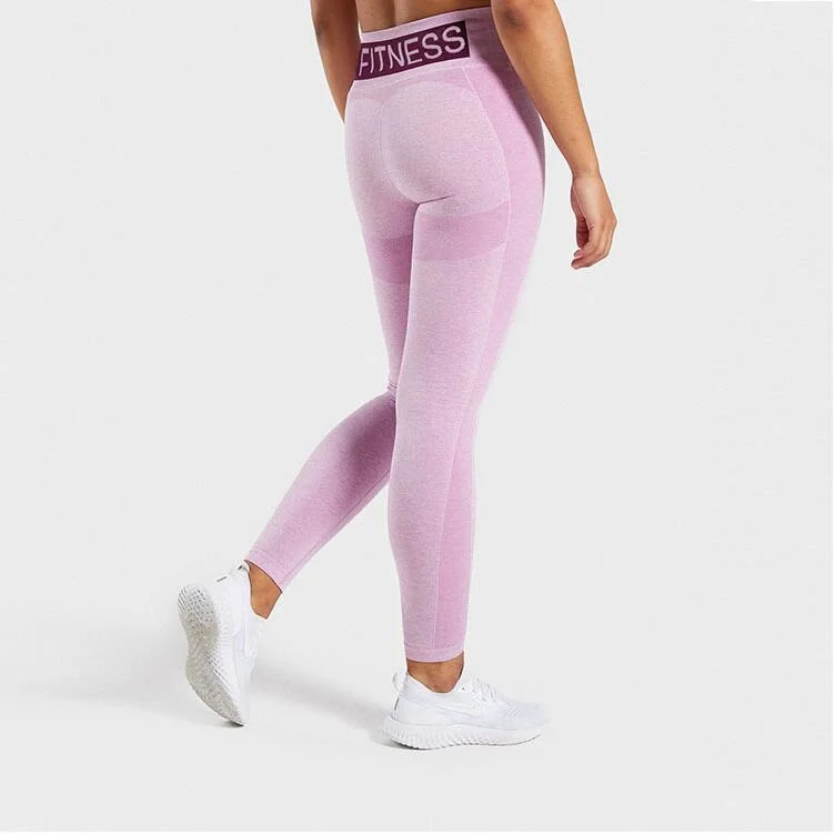 Sport Wears Moisture Wicking Seamless Yoga Leggings Women Workout Fitness Leggings Yoga Pants