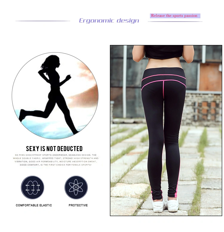 Cody Lundin New Custom Logo High Quality High Elastic Running Fitness Seamless Yoga Pants