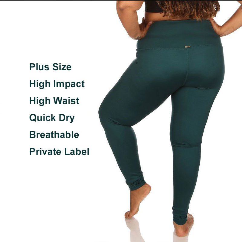 Best Quality High Impact Fitness Sport Pants Plus Size Women Leggings Clothing