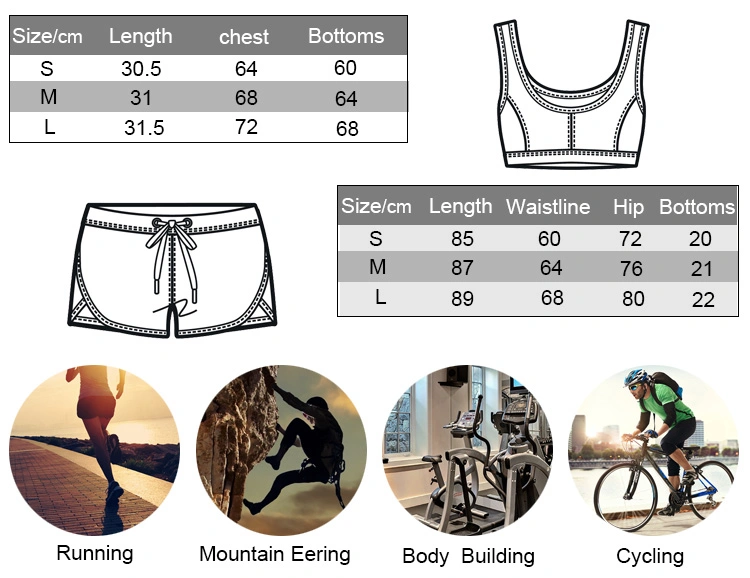Cody Lundin Excellent Quality Breathable Sport Bra for Women Absorb Sweat Underwear
