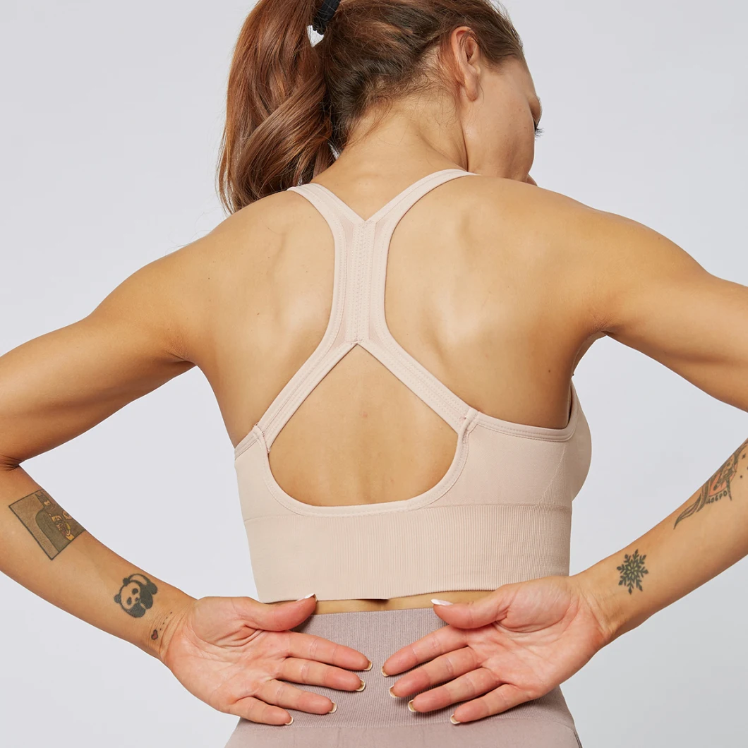 Sexy Gym Bra Absorb Sweat Tops Yoga Running Sports Bra Fitness Women Seamless Padded Vest Tanks