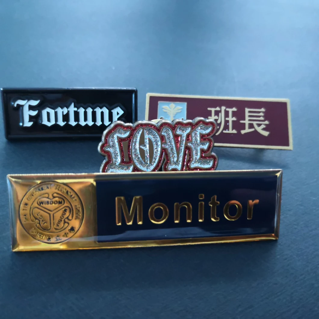 Customized Designed Manurfacturer Badges Name Plate/Card School Pins