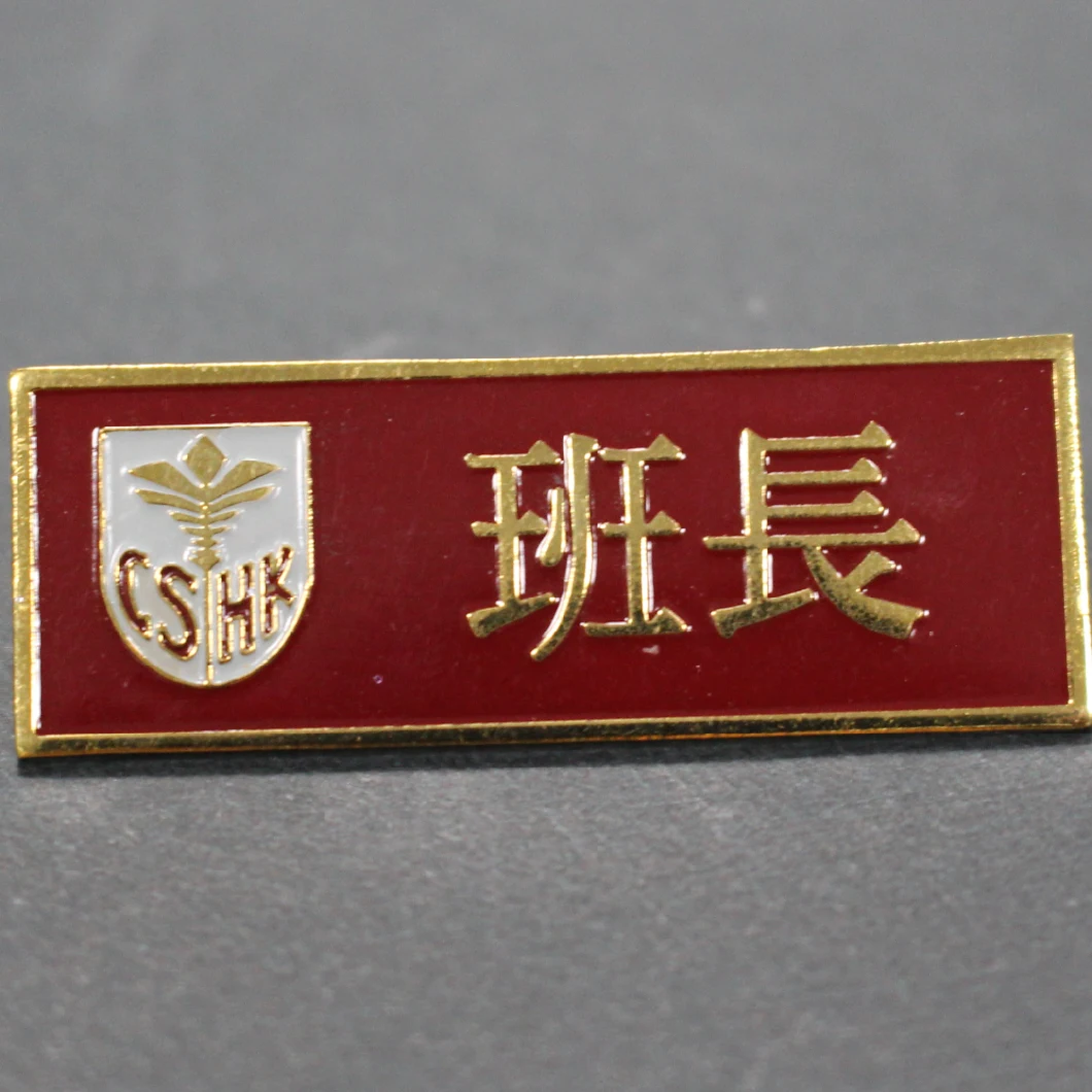 Customized Designed Manurfacturer Badges Name Plate/Card School Pins