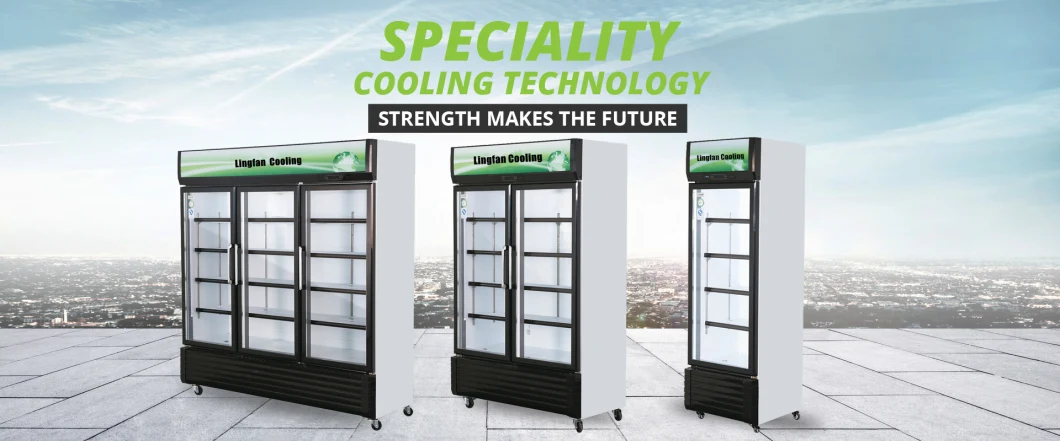 Supermarket Drink Cold Storage Cooler Beverage Display Cabinet Refrigerator with CE Approved