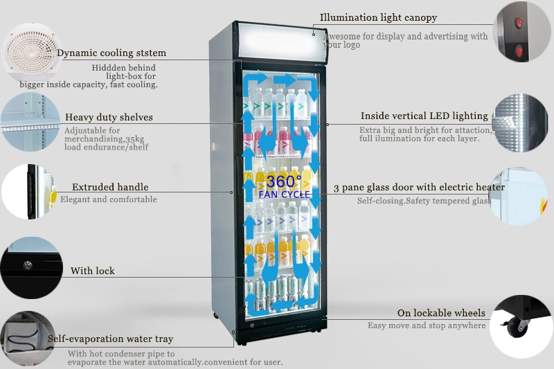 Commercial Upright Showcase Glass Door Display Refrigerator