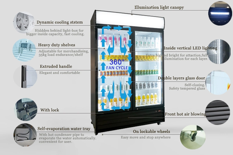 R134 Double Glass Door Upright Refrigerated Showcase Drinks and Beverages Cooler Glass Door Merchandiser