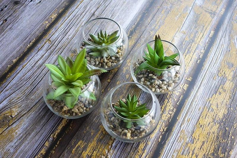 Set of 4 Decorative Mini Modern Design Clear Round Artificial Succulent Plant Glass Display Vases