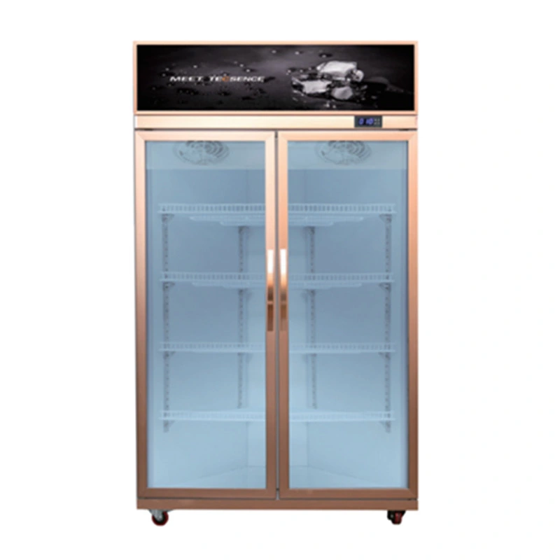 Commercial Transparent Double Glass Door Vertical Showcase Refrigerators