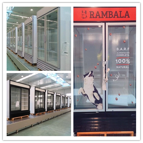 Glass Double Door Commercial Refrigerating Showcase for Convenience Store