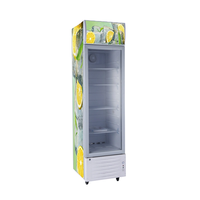 268L Solar Display Cooler with One Glass Door Cabinet Refrigerator