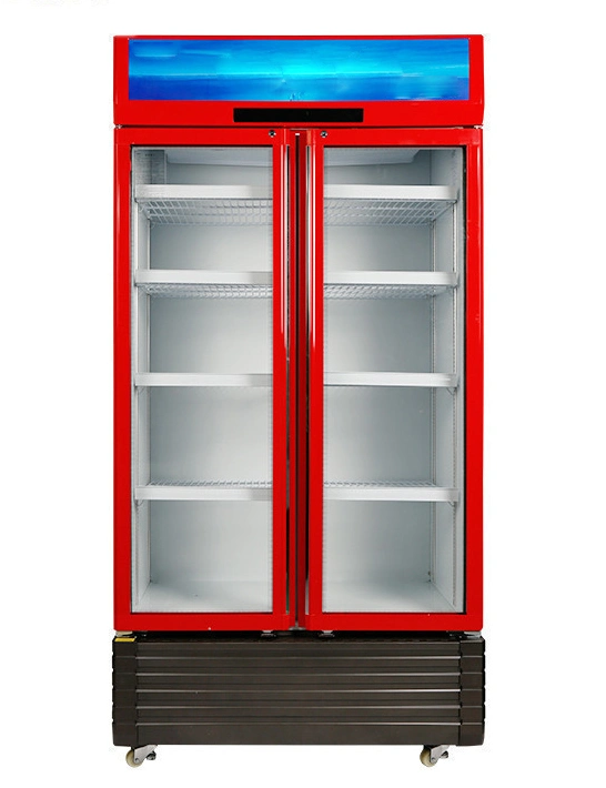 610L Commercial No Frost Double Glass Door Beverage Showcase Cooler