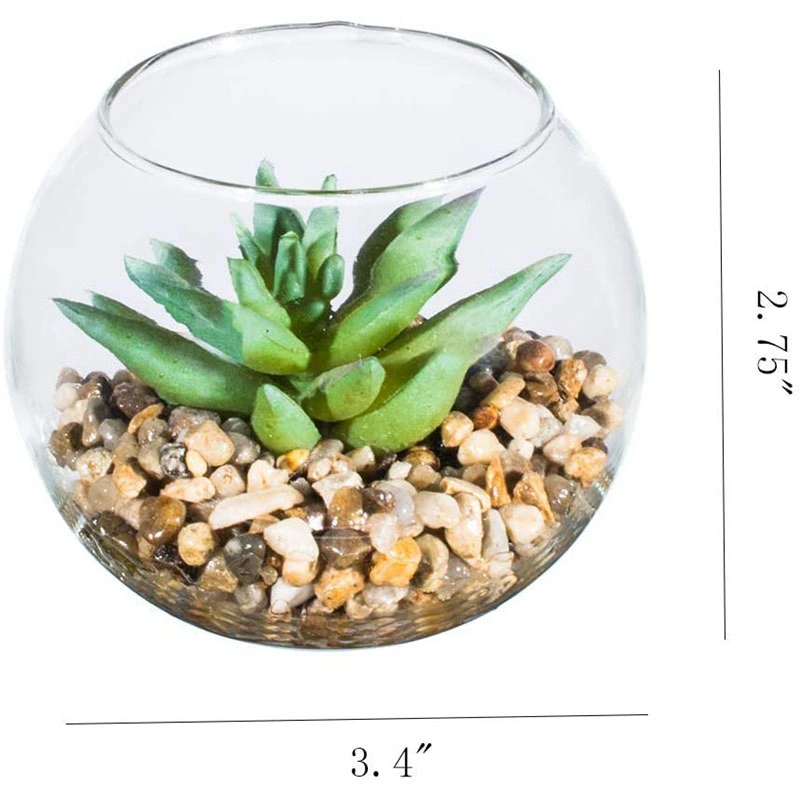 Set of 4 Decorative Mini Modern Design Clear Round Artificial Succulent Plant Glass Display Vases