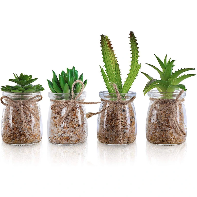 Artificial Plants (4 Pack) - Decorative Mini Artificial Succulent Plant in Clear Glass Vases Display