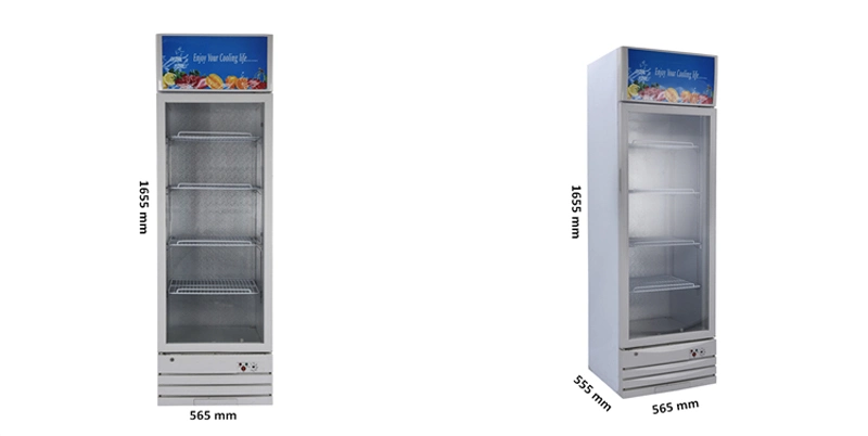 Upright Freezer Glass Display Showcase Cold Drink Storage Solar Cabinet