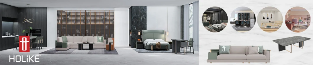 Holike Customized Modern Style Luxury Storage Wardrobes for Bedroom Furniture
