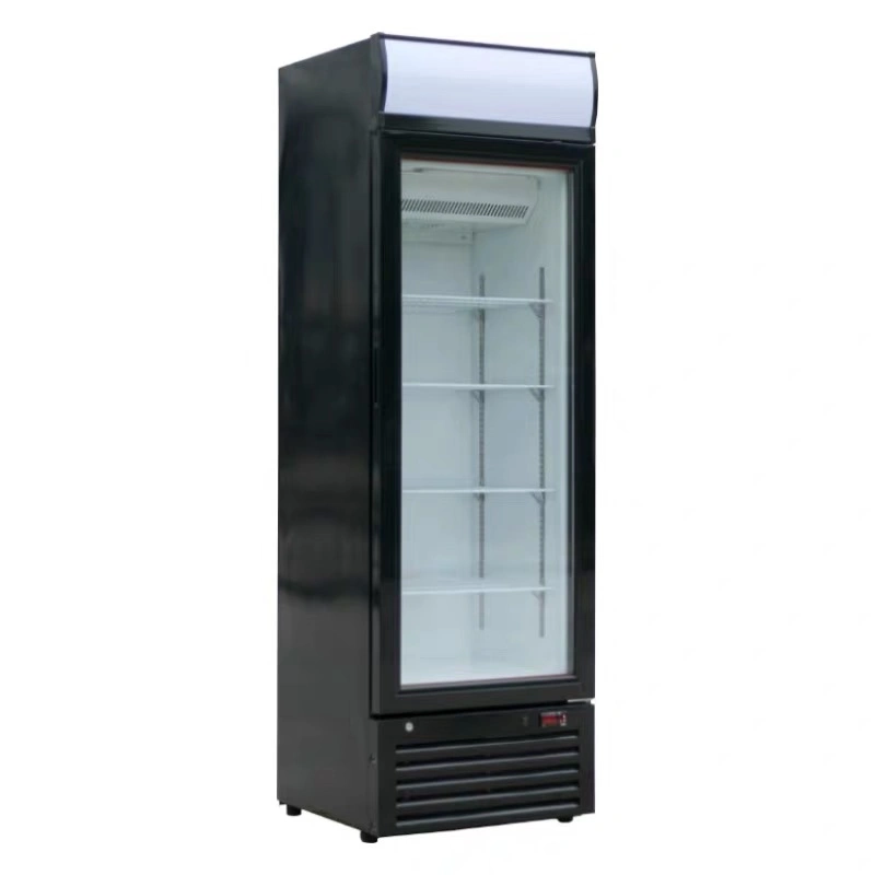 Upright Display Freezing Ice Cream Glass Door Showcase Freezer (LSD-268)